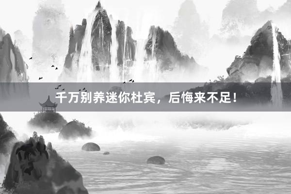 千万别养迷你杜宾，后悔来不足！