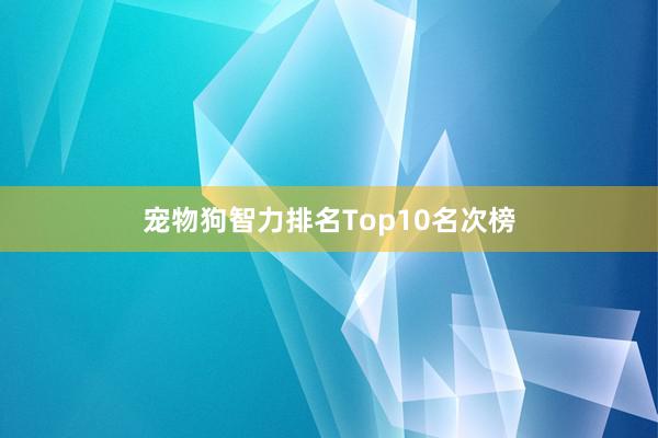 宠物狗智力排名Top10名次榜
