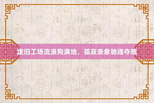废旧工场流浪狗满地，孤寂表象驰魂夺魄